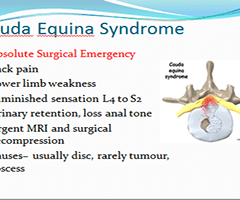 about_patient_education_13