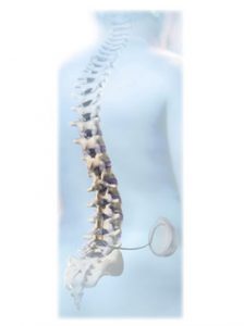 Spine surgeon in pune